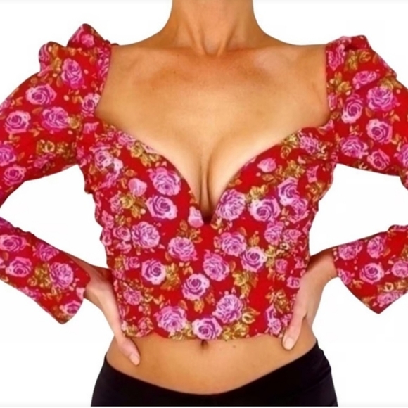 Zara Rose Print Red Crop Corset Sweatheart Cottagecore Whimsical Romantic Top - Picture 12 of 12